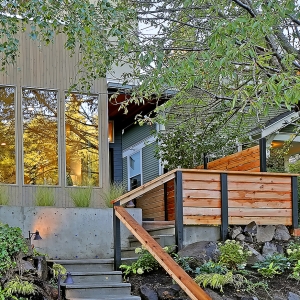 Treehouse Vista